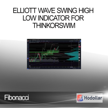Elliott Wave Swing High Low Indicator for ThinkorSwim - Fibonacci