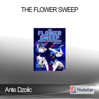 Ante Dzolic - The Flower Sweep