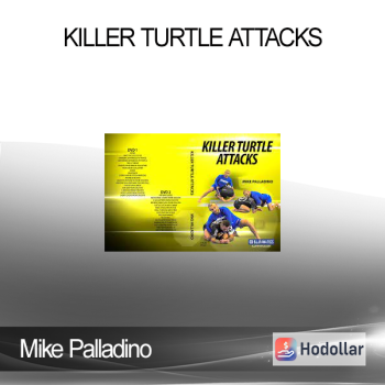 Mike Palladino - Killer Turtle Attacks