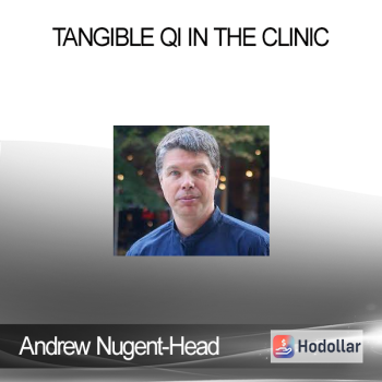 Andrew Nugent-Head - Tangible Qi in the Clinic