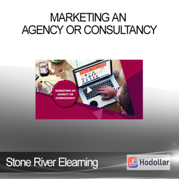 Stone River Elearning - Marketing an Agency or Consultancy