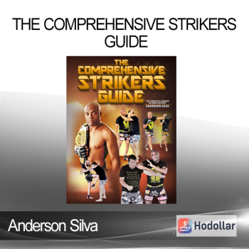 Anderson Silva - The Comprehensive Strikers Guide