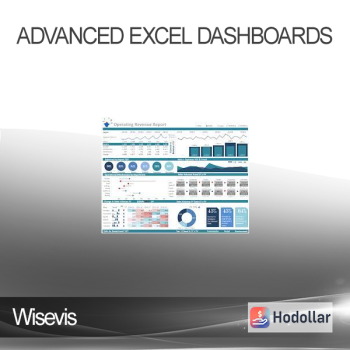 Wisevis - Advanced Excel Dashboards