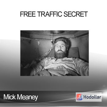 Mick Meaney - Free Traffic Secret