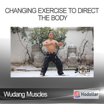 Wudang Muscles - Changing Exercise to Direct the Body