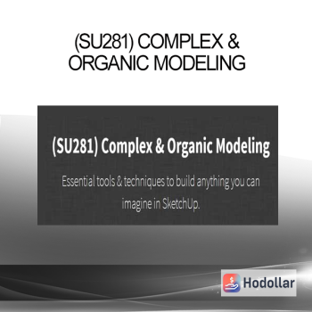 (SU281) Complex & Organic Modeling