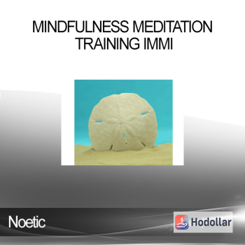 Noetic - Mindfulness Meditation Training IMMI